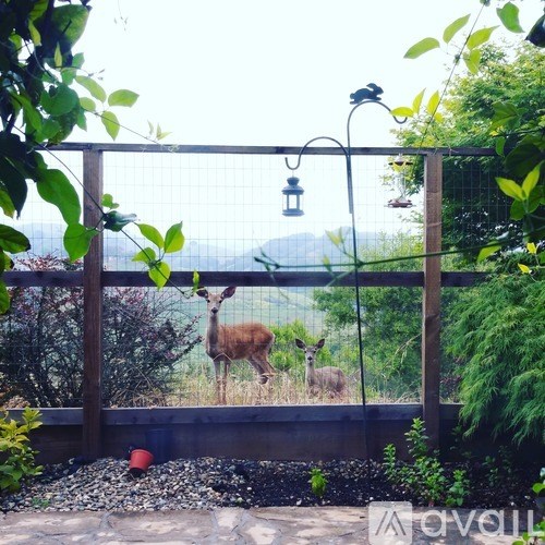 A deer is standing in a fenced area with a lamp post in the background.