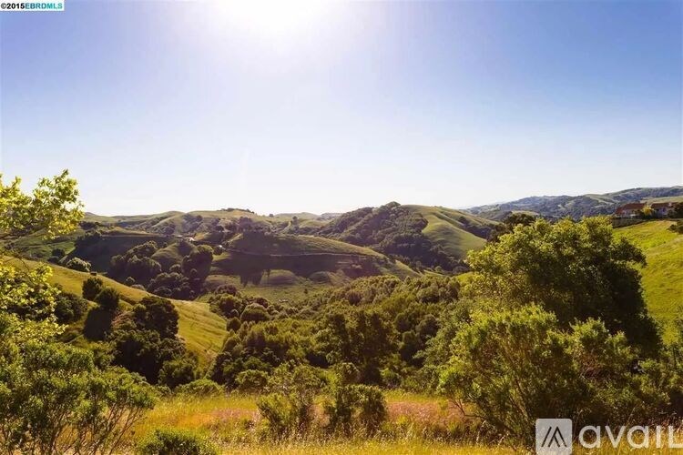 A landscape image of a sunny day with greenery and hills.