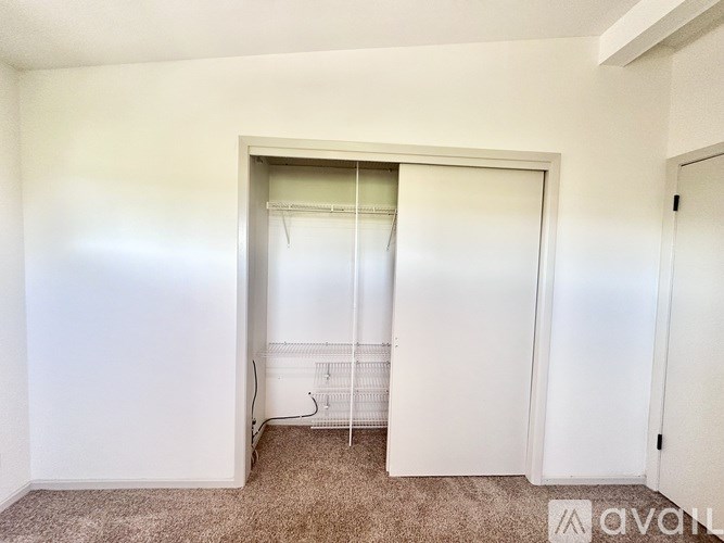 A white closet with a carpeted floor and a white door.
