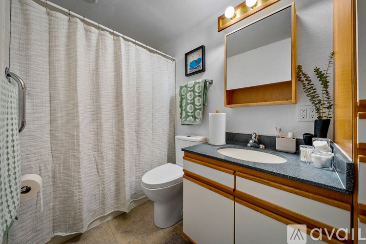 A bathroom with a toilet, sink, and shower curtain.