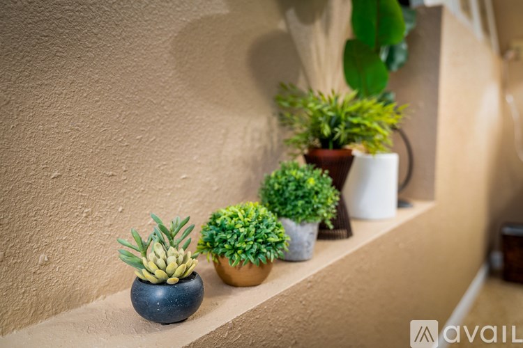 A row of potted plants are lined up on a ledge.