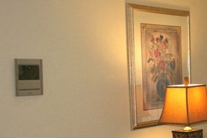 153 Peppertree Drive 1 Bed Apartment for Rent - Photo Gallery 3