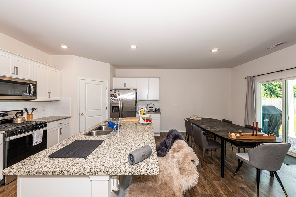 A dog is sitting on a kitchen counter.