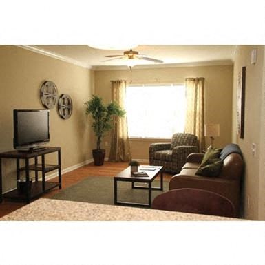 a living room with a couch and a television