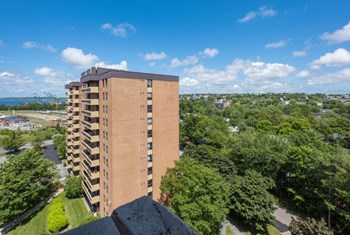 6967 Bayers Road 1-2 Beds Apartment for Rent - Photo Gallery 2