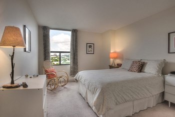 6967 Bayers Road 1-2 Beds Apartment for Rent - Photo Gallery 4