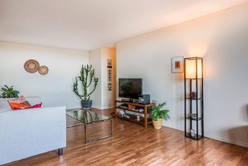 6967 Bayers Road 1-2 Beds Apartment for Rent - Photo Gallery 6
