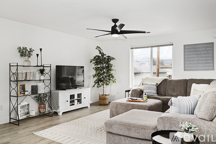A living room with a grey couch, a white rug, a TV, and a plant.