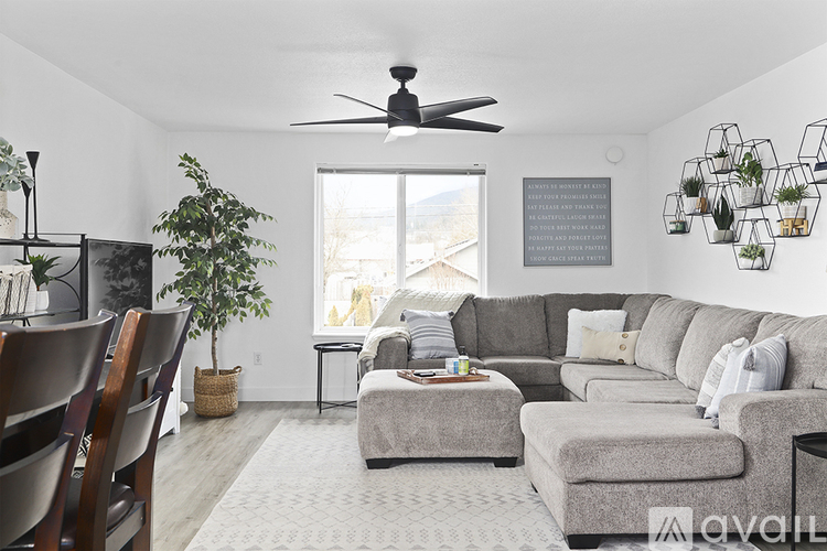 A living room with a grey couch, a green plant, and a fan on the ceiling.