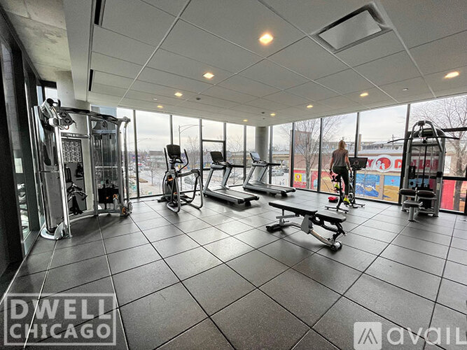 A gym with a variety of equipment including treadmills, weights, and a bench.