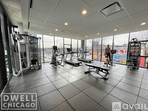 A gym with a variety of equipment including treadmills, weights, and a bench.