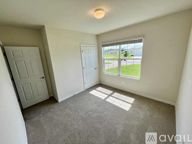 A room with a carpeted floor, two doors, and a window with a view of a grassy area outside.
