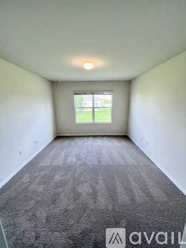 A room with a carpeted floor and a window showing a green lawn outside.