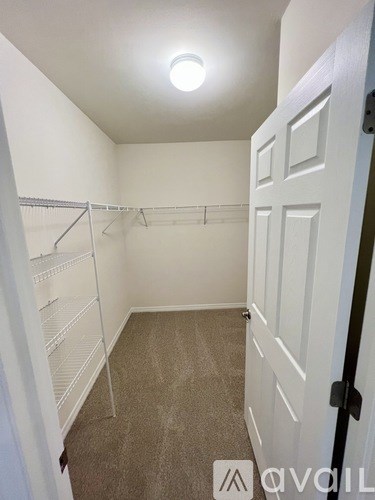 A white closet with a carpeted floor and a white door.