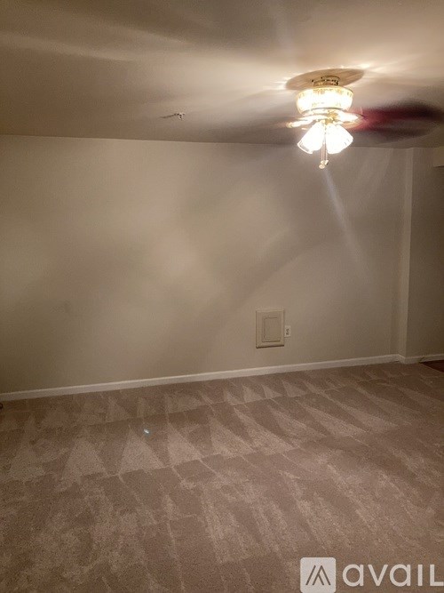 A room with a light on the ceiling and a carpet on the floor.