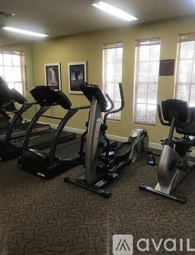 A gym with treadmills and exercise bikes.