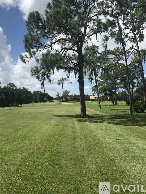 A grassy field with trees and a clear sky.