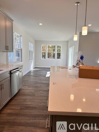 A kitchen with a countertop and cabinets is shown.