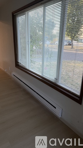 A window with blinds partially closed, showing a view of a tree and a car outside.