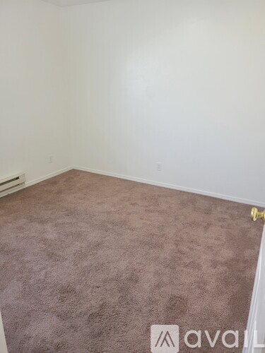 A room with a carpeted floor and a window letting in sunlight.