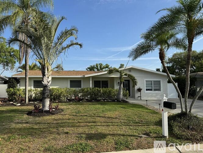 A white house with a palm tree in front.