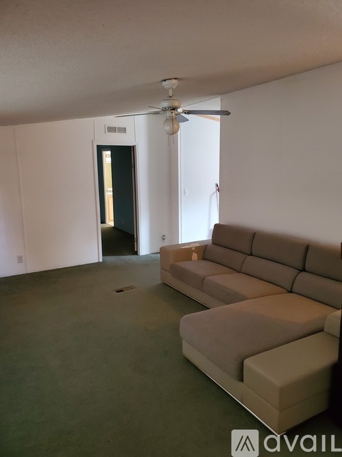 A living room with a couch and a ceiling fan.