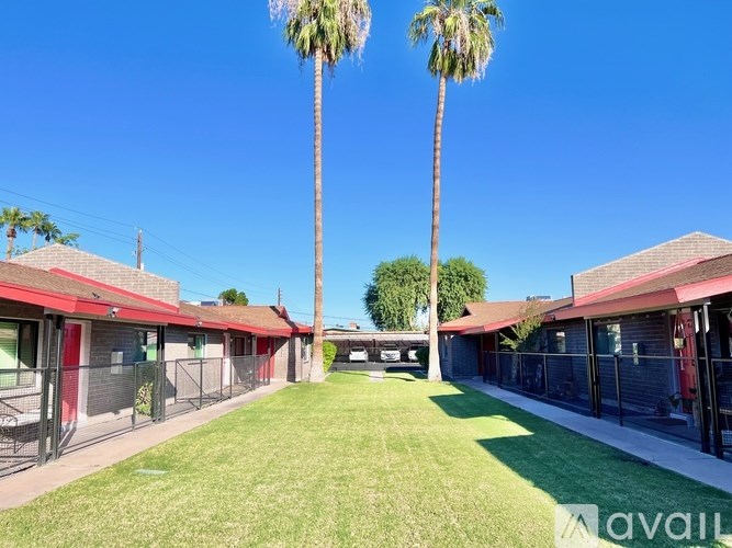 A sunny day at a park with palm trees and a clear blue sky.