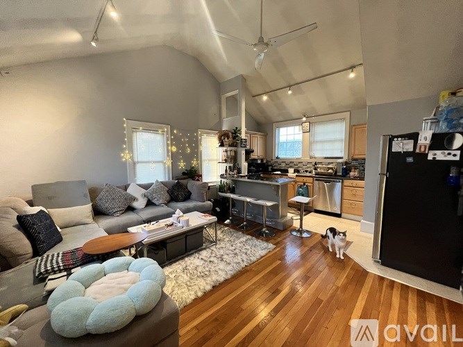A cat is sitting on the floor in a living room.