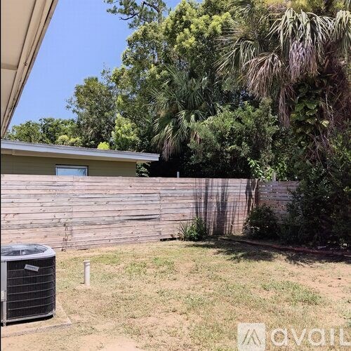 A backyard with a wooden fence and a palm tree.