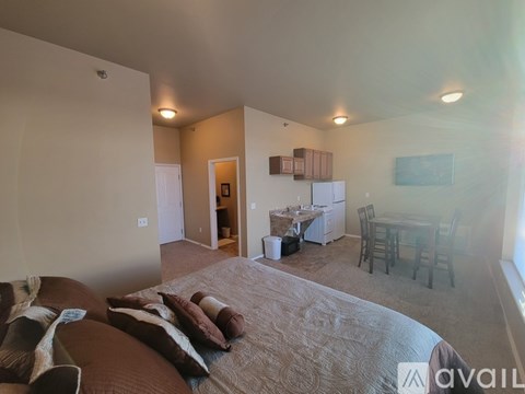 A living room with a couch and a kitchen area in the background.