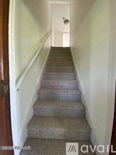 A staircase with a carpeted runner and wooden handrails.