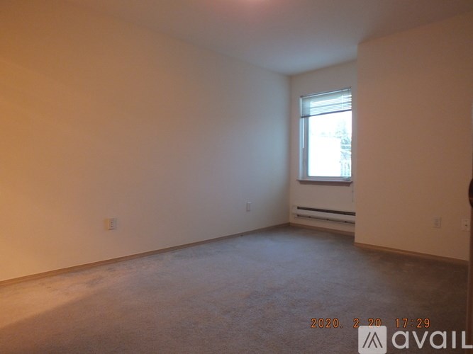 A room with a window and a carpeted floor.