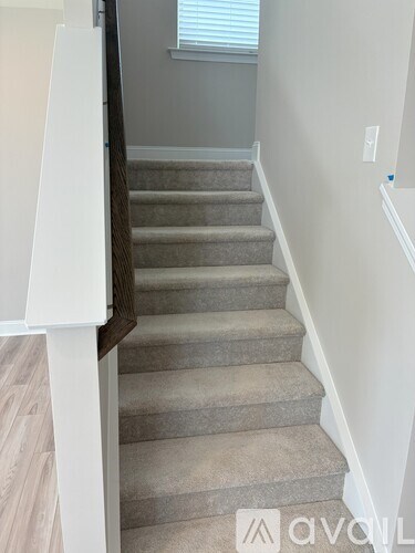 A staircase with beige carpeted steps and white railings.