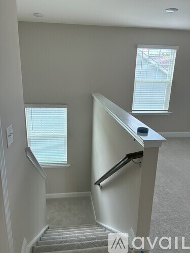A stairway with a carpeted runner and a metal handrail.