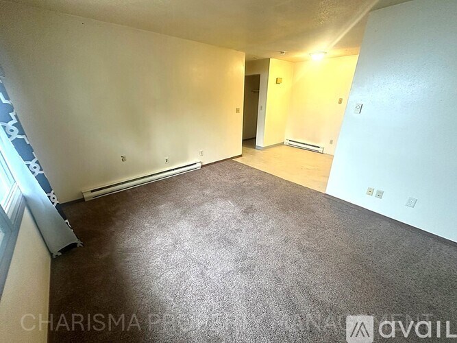 A spacious room with carpeted floor and a door in the background.