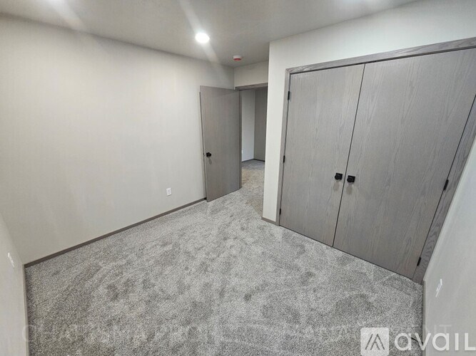 A room with grey carpet and two grey doors.