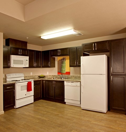 Unit Interior- Kitchen