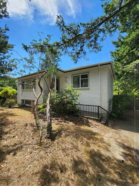 A small white house with a black fence and a tree in front.