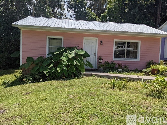 A small pink house with a white door and a large green plant in front.