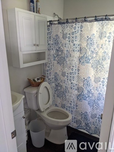 A bathroom with a toilet, a shower curtain and a cabinet.