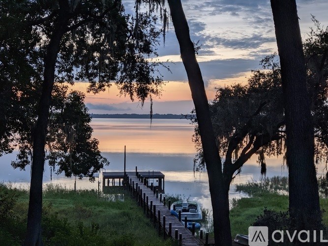 A dock with boats and trees in front of a body of water.