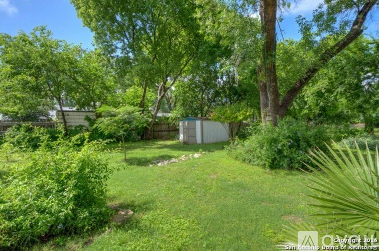 A lush green garden with a shed in the background.