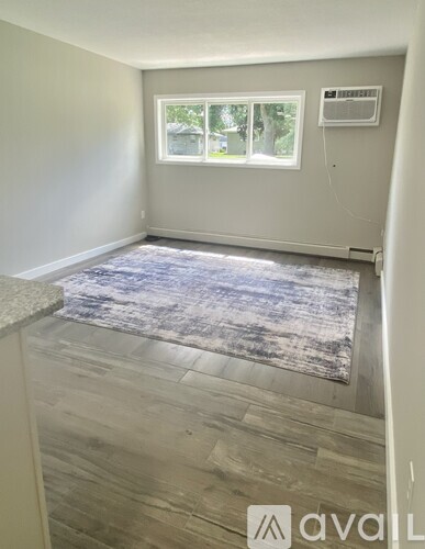 A room with a rug on the floor and a window with a view of trees and a house.