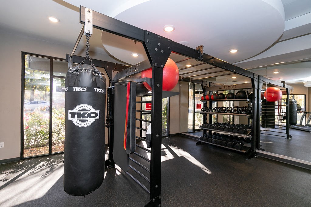 a boxing cage in a home gym with a punching bag