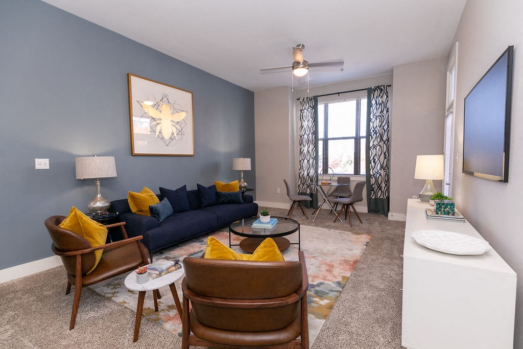 a living room with a blue accent wall and a couch