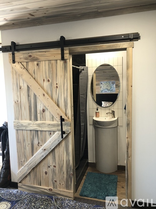 A wooden door with a mirror and a sink inside.