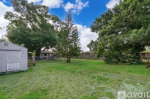 A backyard with a shed, trees, and a fence.