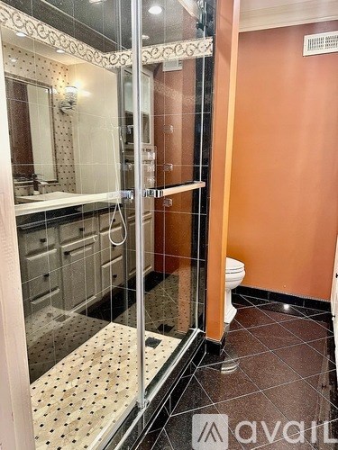 A bathroom with a walk-in shower and a toilet.