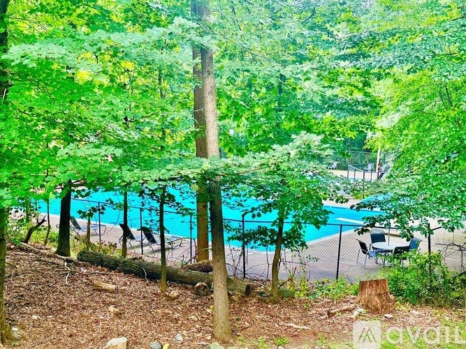 A pool surrounded by trees in a wooded area.