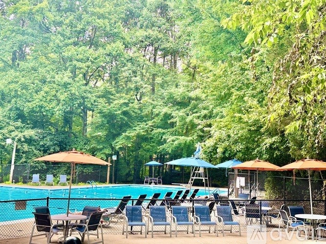 A pool surrounded by trees with chairs and umbrellas.